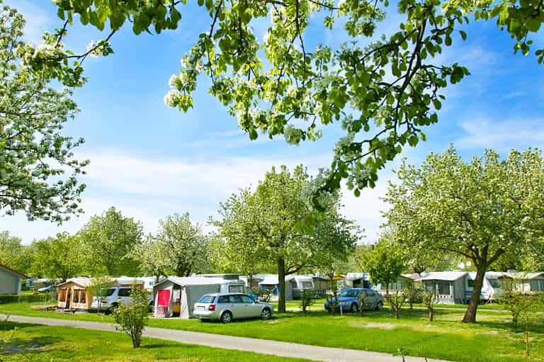 Camping Wirthshof: 5 Sterne Camping am Bodensee