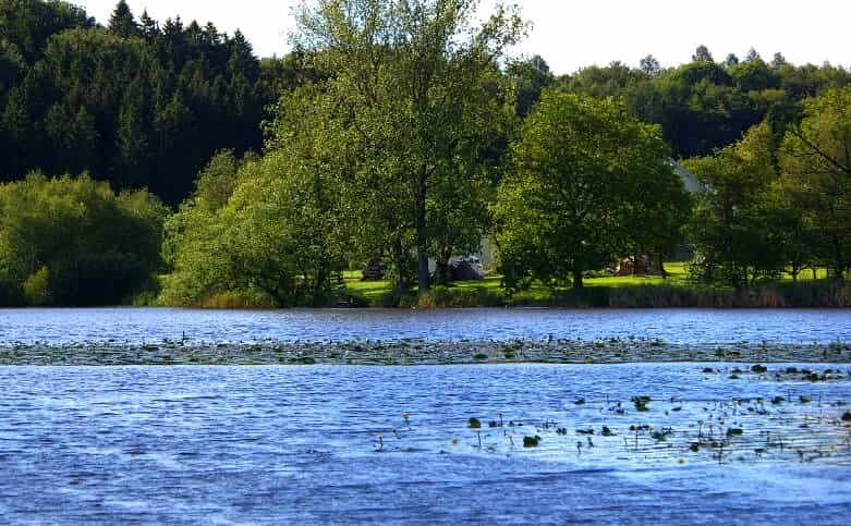 Buchseehof: Natur-Camping am See trifft auf echtes Bauernhof-Leben