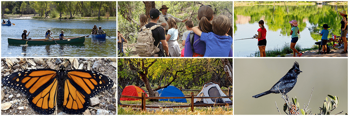 Family Campout