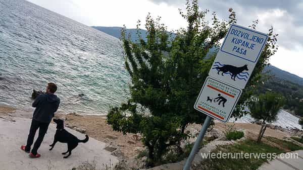 Meine Top 8 Campingplätze in Kroatien mit Hundestrand