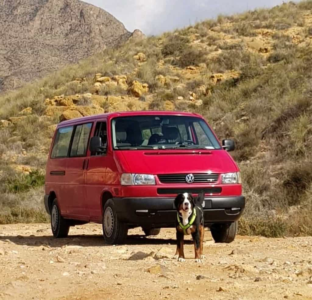 9 Tipps für entspannte Camper Reisen mit Hund