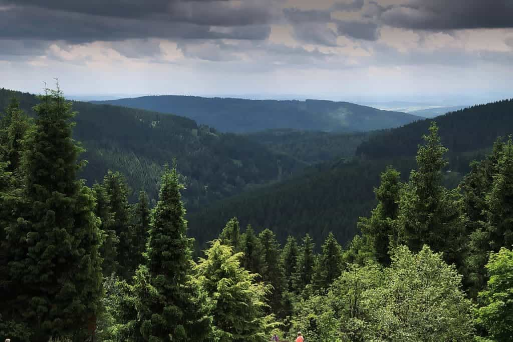 Camping Angeln direkt am Wasser – 5 Campingplätze für einen perfekten Angelurlaub