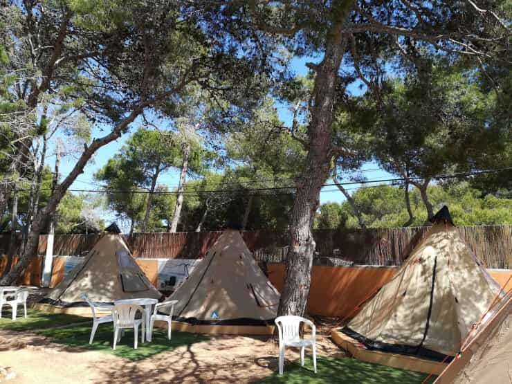 Camping on Ibiza: All you need to know