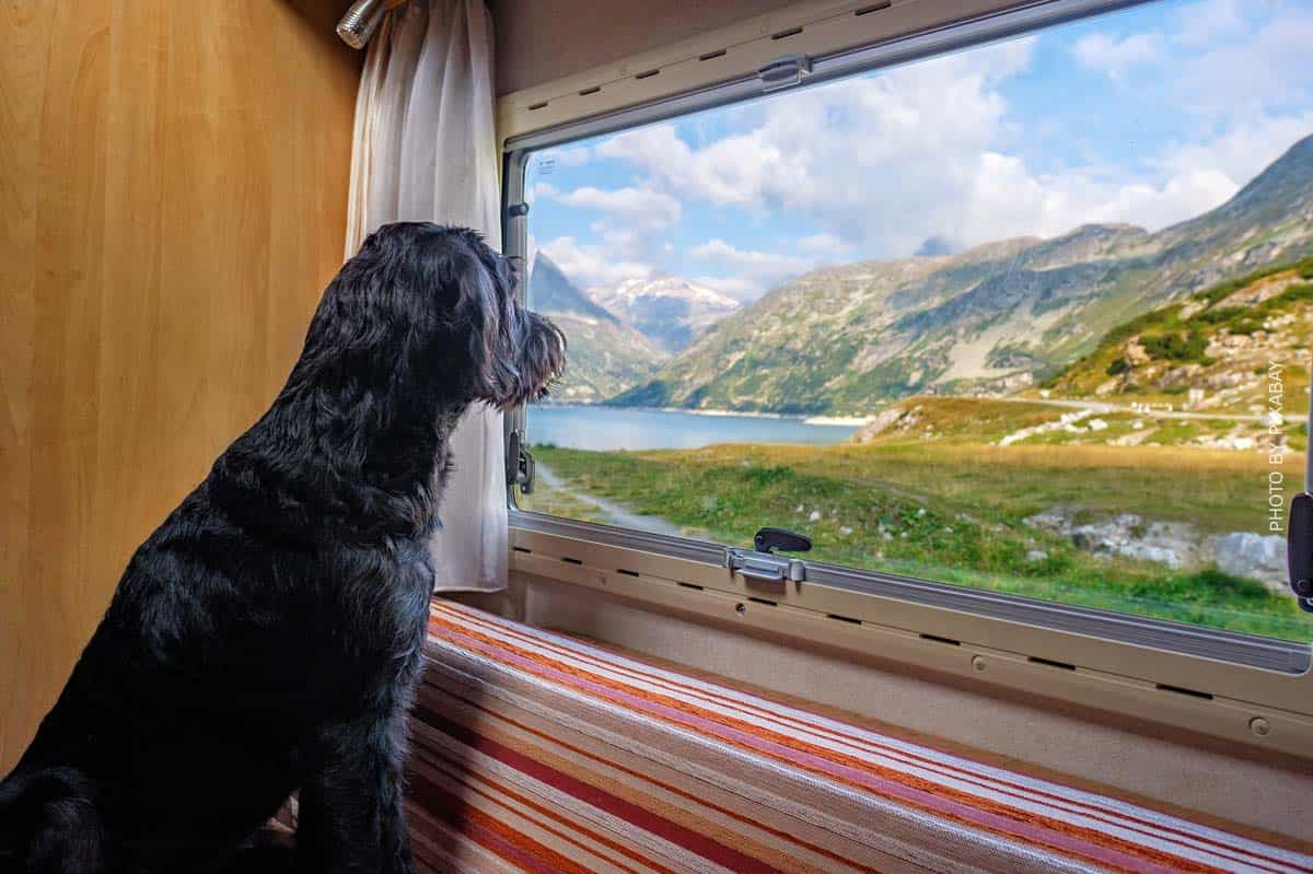 Camper Van: Vorteile, Tipps & eigener Ausbau – flexibel reisen im Kleinbus