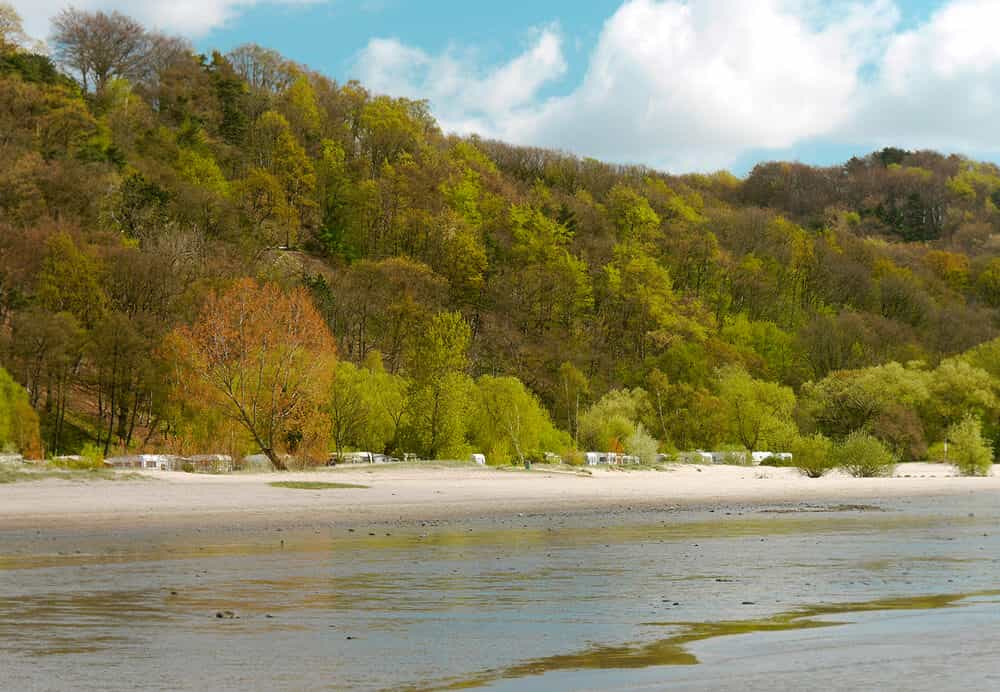 ElbeCamp Hamburg: Natur pur direkt am Elbstrand vor dem Tor zur Welt!