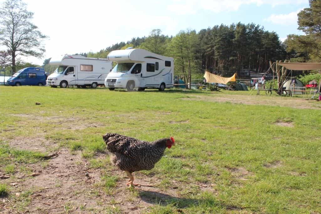 Campingplatz Zum Hexenwäldchen