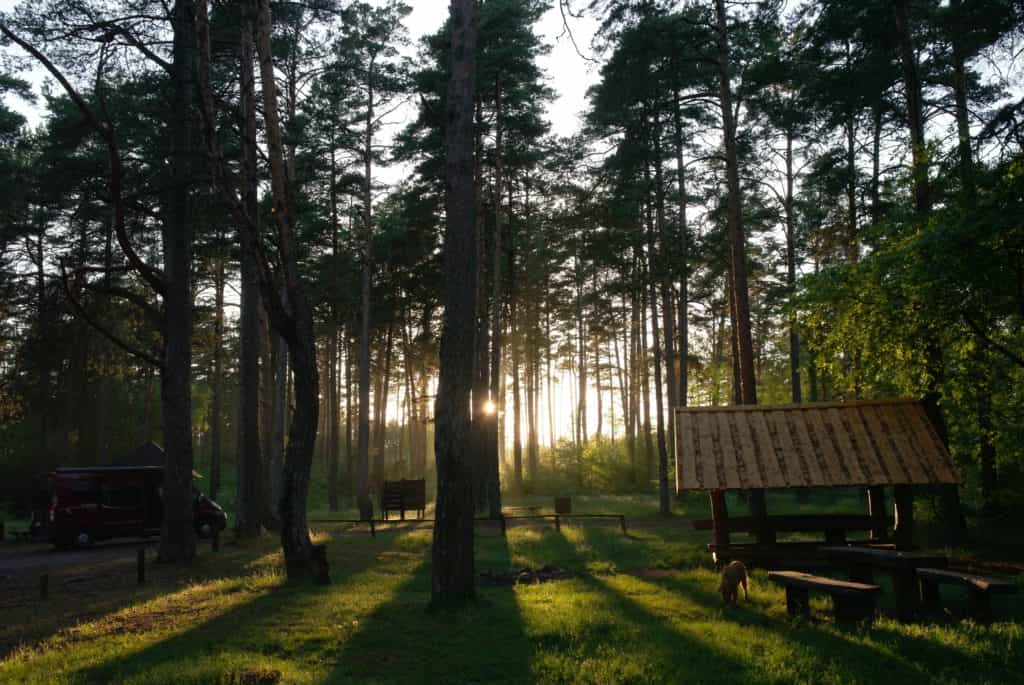 Van-Reise Litauen mit Hund