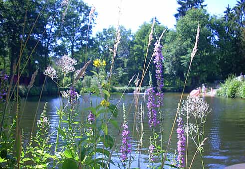 Campingplatz „Zum Oertzewinkel“: zurück zur Natur lautet das Motto!