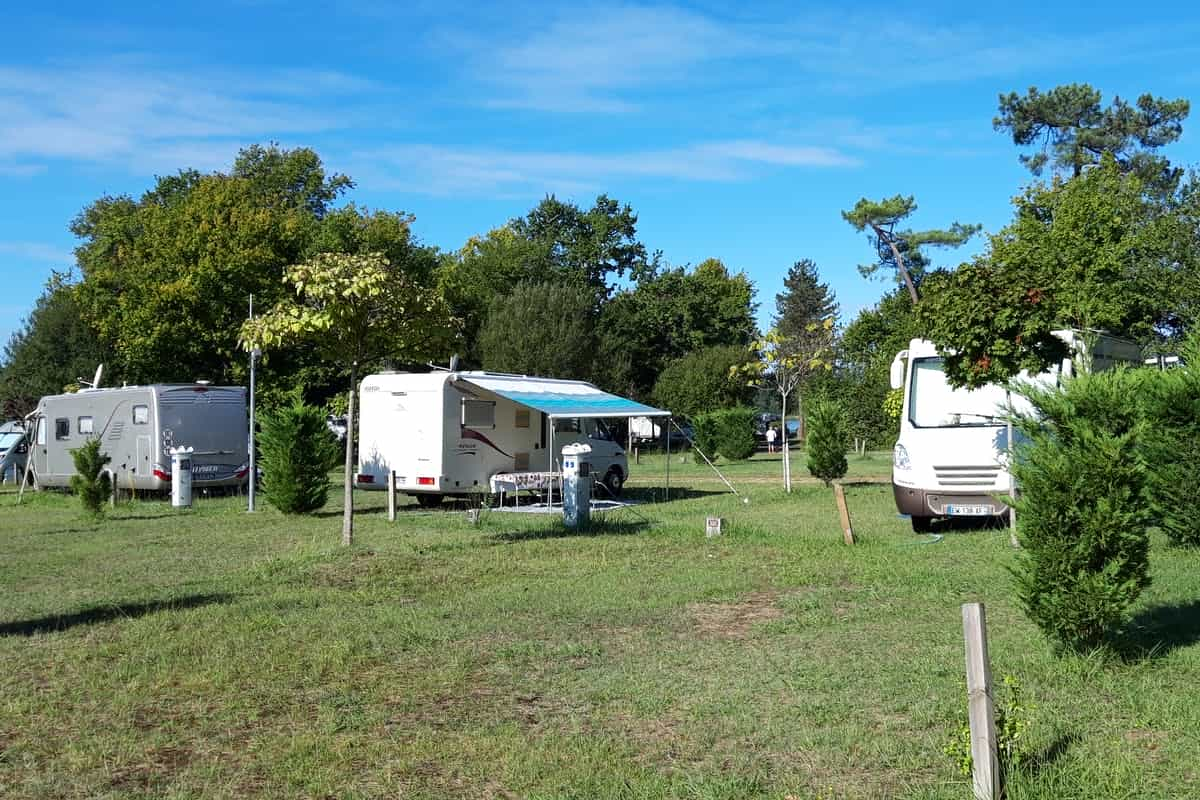 Wau! 13 hundefreundliche Top-Campingplätze in den Niederlanden