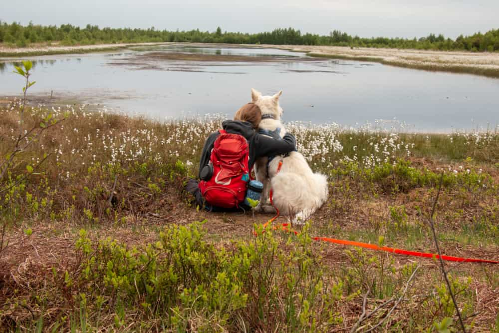 Urlaub mit Hund und Wohnmobil im Osnabrücker Land