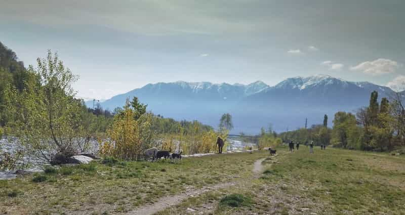 Wanderausflüge mit dem Camper und Hund im Tessin