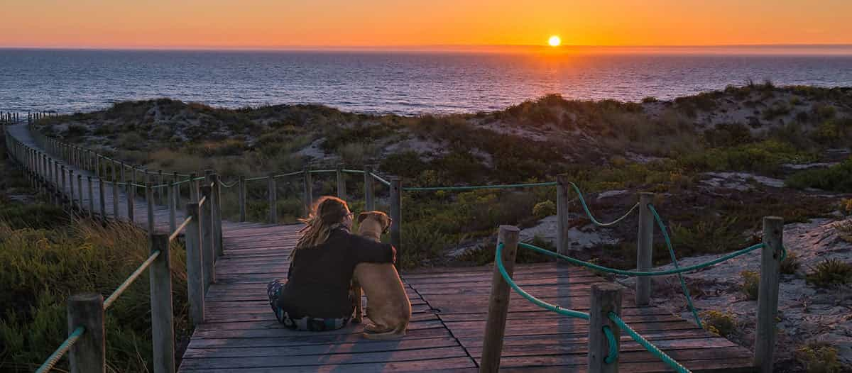 Camping mit Hund: Ratgeber für den perfekten Hundeurlaub