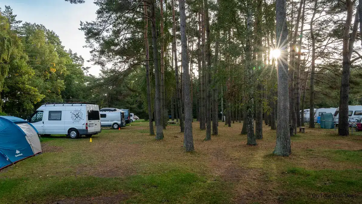 Camping Darß – Die 5 beliebtesten Campingplätze mit Hund