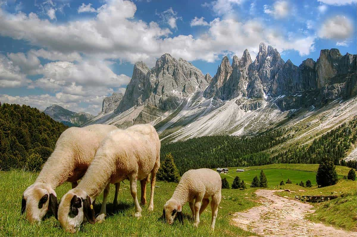 Urlaubsziele für Tierfans und Landluftliebende: Bauernhöfe mit Campingplatz