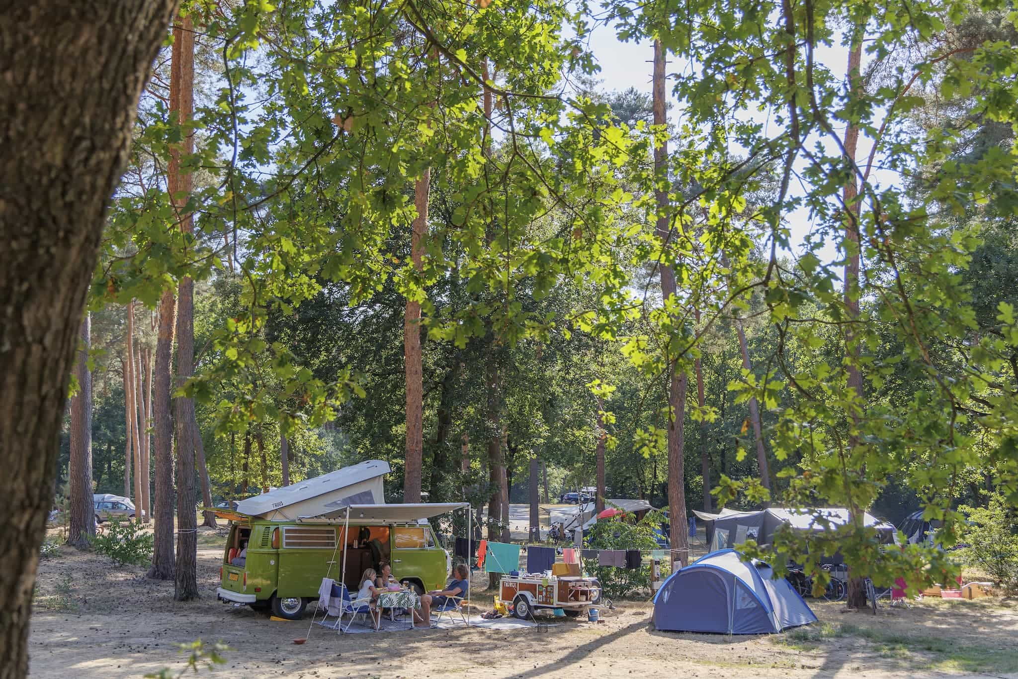 Camping in den Niederlanden: 4 traumhafte Naturcampingplätze für die ganze Familie