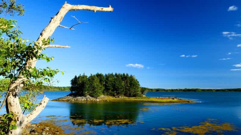 Top-Rated New England State Park Campgrounds