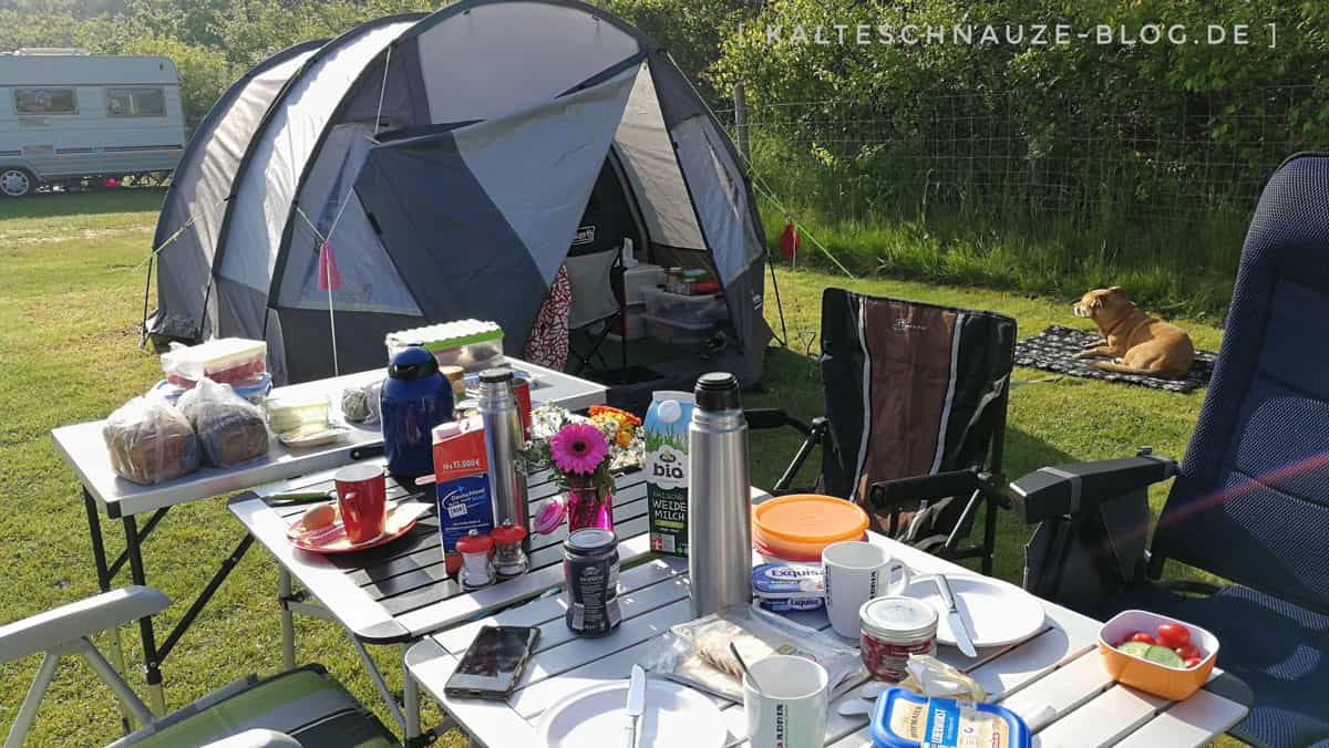 Texel: Campingurlaub mit Hund zwischen Muttertag und Pfingsten