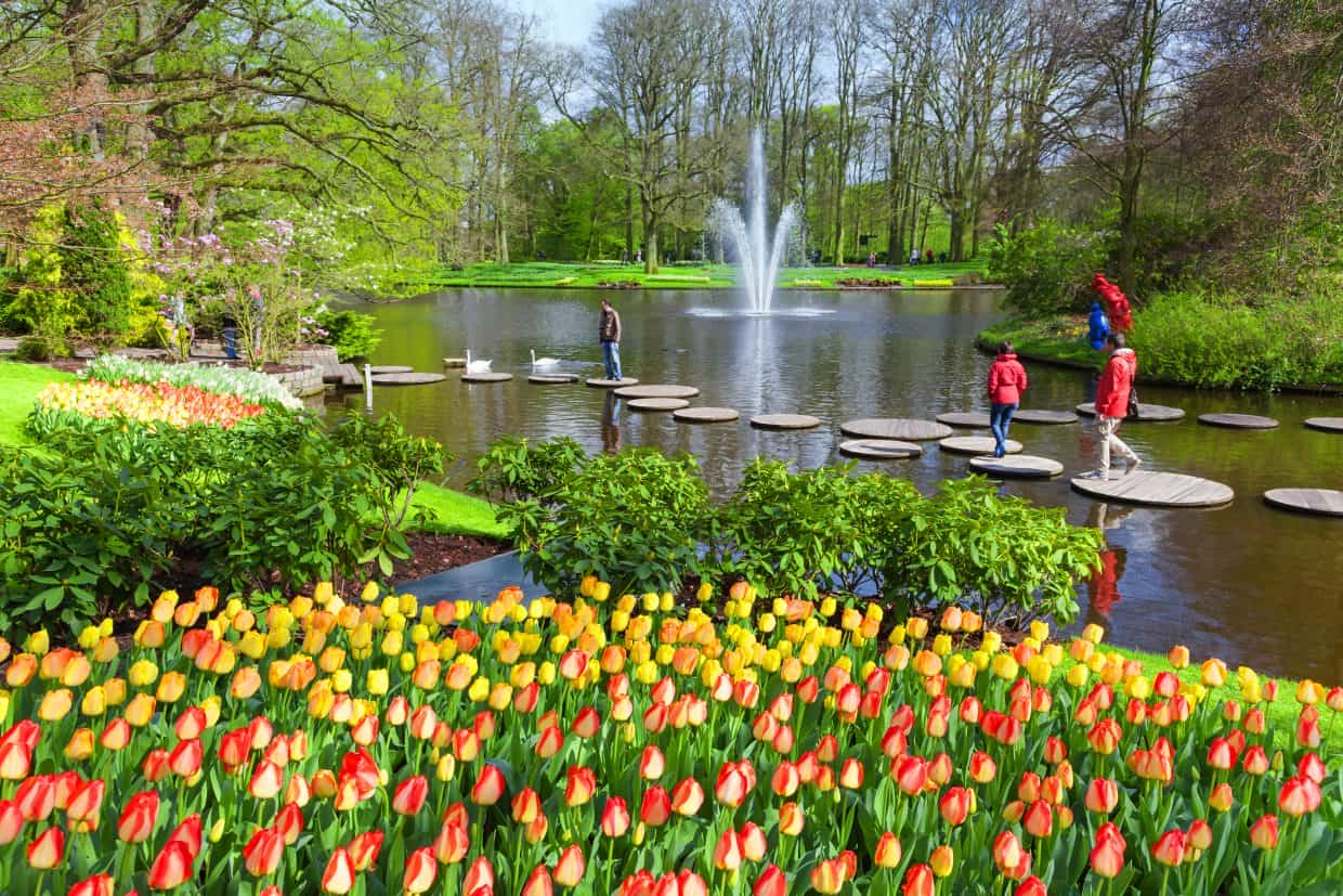 Tulip Festival Amsterdam