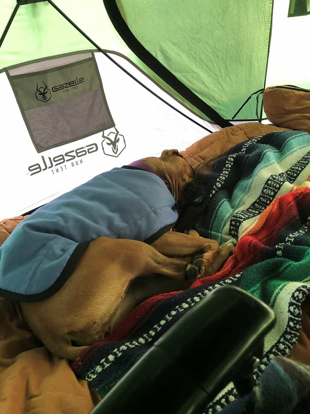 Gazelle T3 Hub Tent