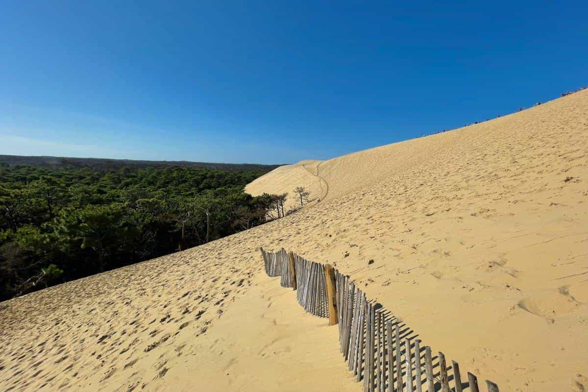 Camping Dune du Pilat – All You Need to Know + Best Camping Sites