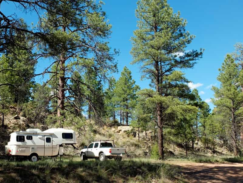 How and Where to Go Hammock Camping in the U.S.