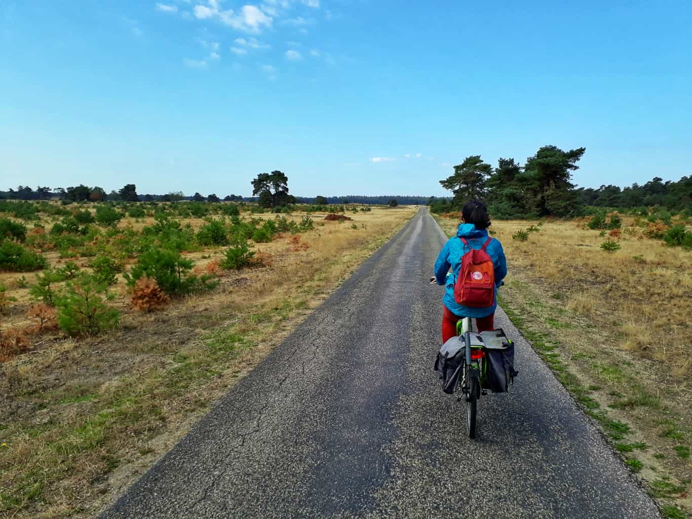 Cycling and camping in Hoge Veluwe national park