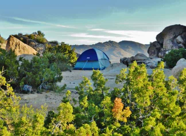 How to Camp in Joshua Tree - A Comprehensive Guide