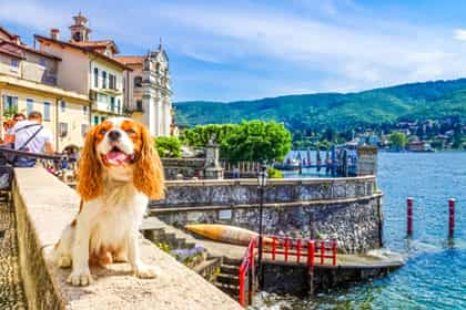 Urlaub mit Hund am Lago Maggiore