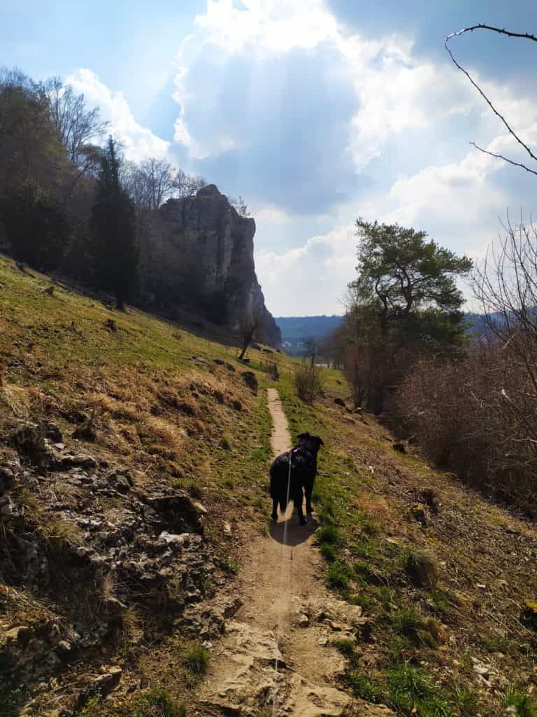 Altmühltal-Panoramaweg mit Hund – Etappe 5: Dollnstein – Eichstätt