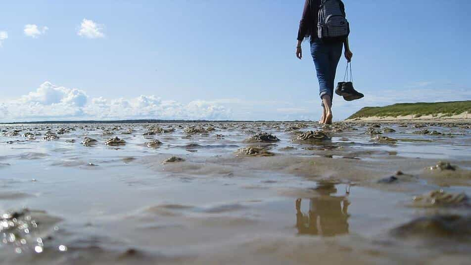 Urlaub am Meer: Tolle Campingplätze an der Nordsee - mit Kind und Hund