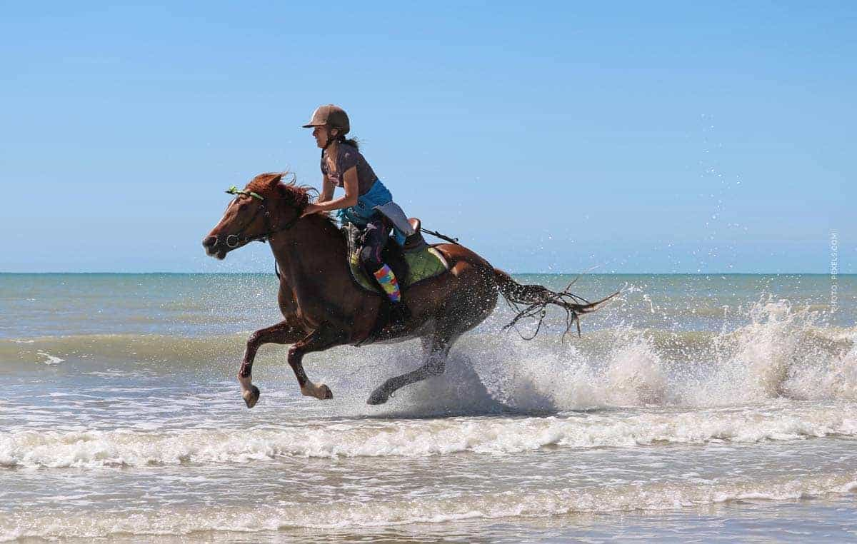 Campingplätze für Reiter: Das Glück der Erde im Urlaub!