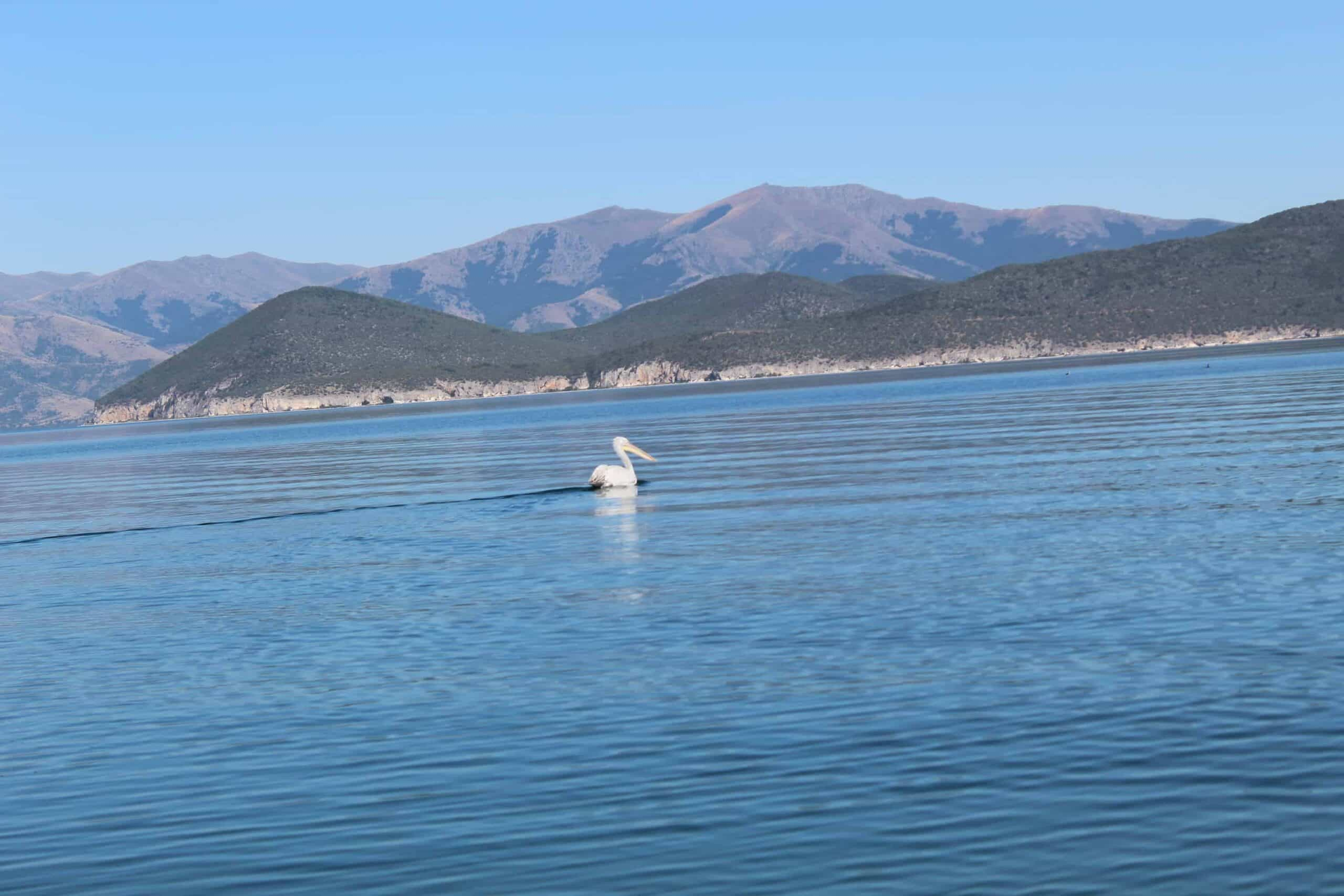 Prespa National Park