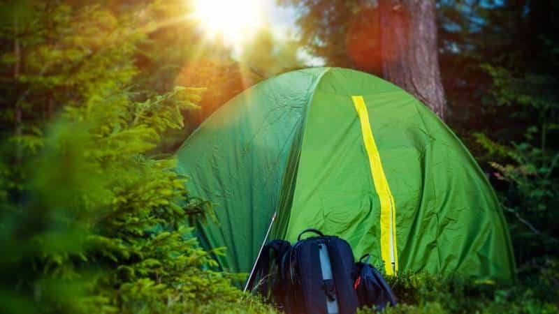 Wild camping in Germany: Here you may sleep legally in the wilderness