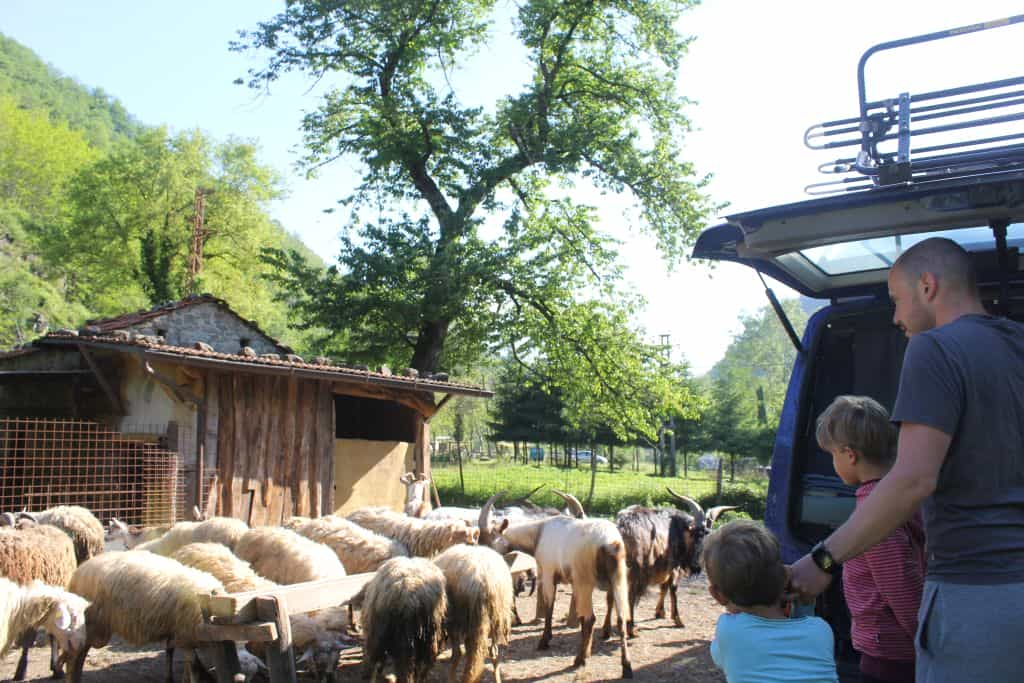 Agriturismo Pian di Fiume: Mit dem Bulli in der Toskana