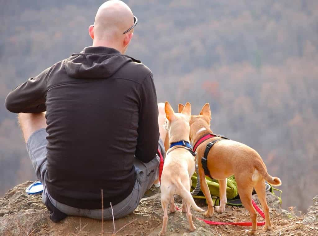 Mit Hund am Wolfgangsee campen