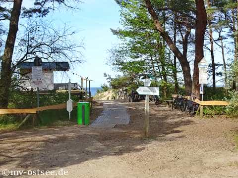 Hundestrand Zinnowitz auf Usedom - Urlaub mit Hund Ostseeküste