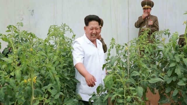 Nordkorea droht eine Hungersnot :  Ein Land liegt trocken