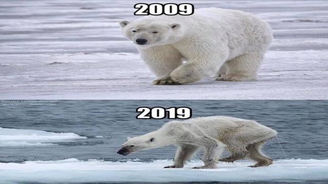 10 Years Challenge: Darüber sollten wir eigentlich reden