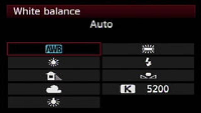 Understanding White Balance & Color Temperatures in 8 Steps