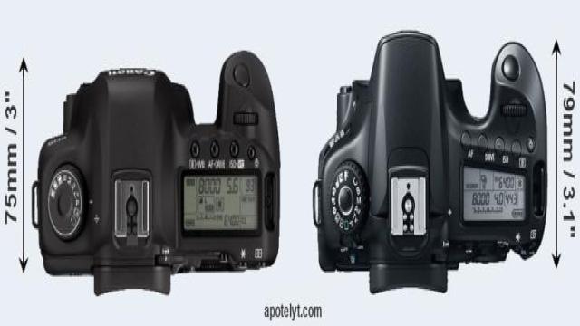 Canon 5D Mark II vs 60D