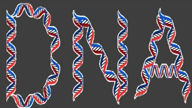 Difference Between A, B and Z DNA Double Helix Structure