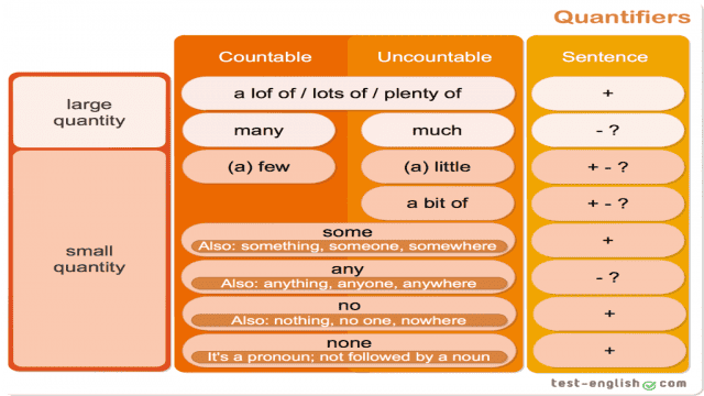 Much, many, a lot, little, few, some, any, no – quantifiers