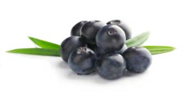 Heimische Superfoods statt Exoten – Blaubeere schlägt Acai