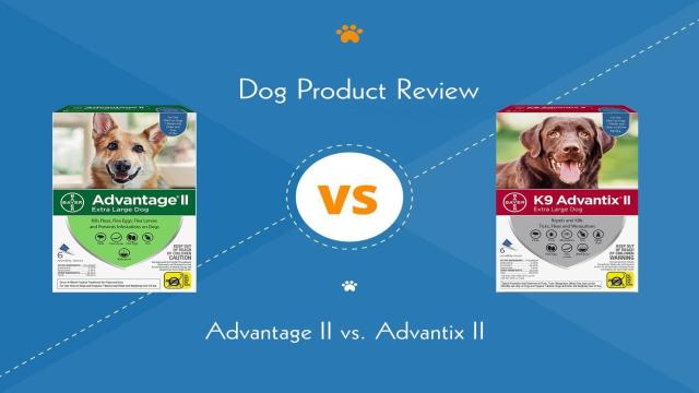 Advantage II vs. Advantix II (2023 Comparison): Pros, Cons & Verdict