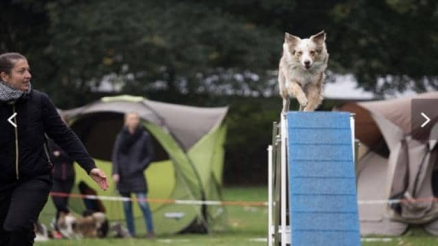 Agility – Aufstieg und Abstieg