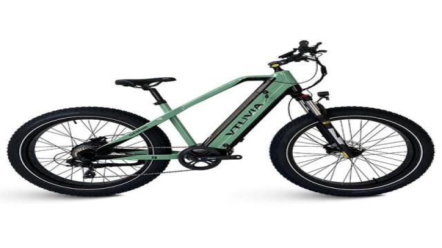 Weighing the Pros and Cons of 750W and 1000W Ebikes: VTUVIA EBIKE