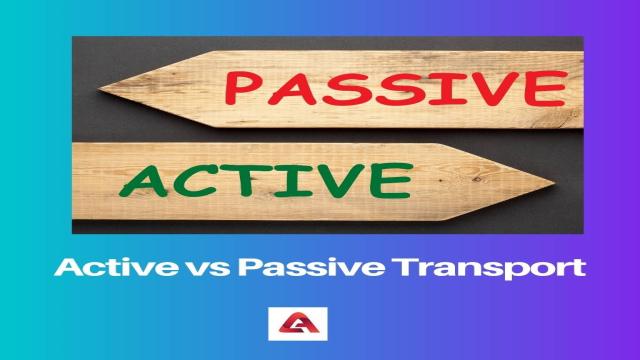 Aktiver vs. passiver Transport: Unterschied und Vergleich