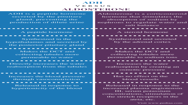 Difference Between ADH and Aldosterone