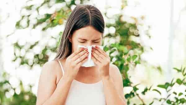 Allergie gegen Hunde-Haare: Ärzte räumen mit verbreitetem Mythos auf