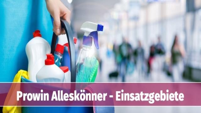 Prowin Alleskönner im Test 2020 | Meine Erfahrungen